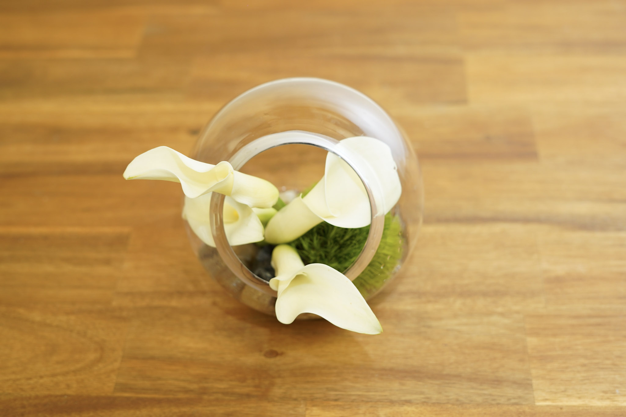 Arum Lily Flowers - Shop All Categories