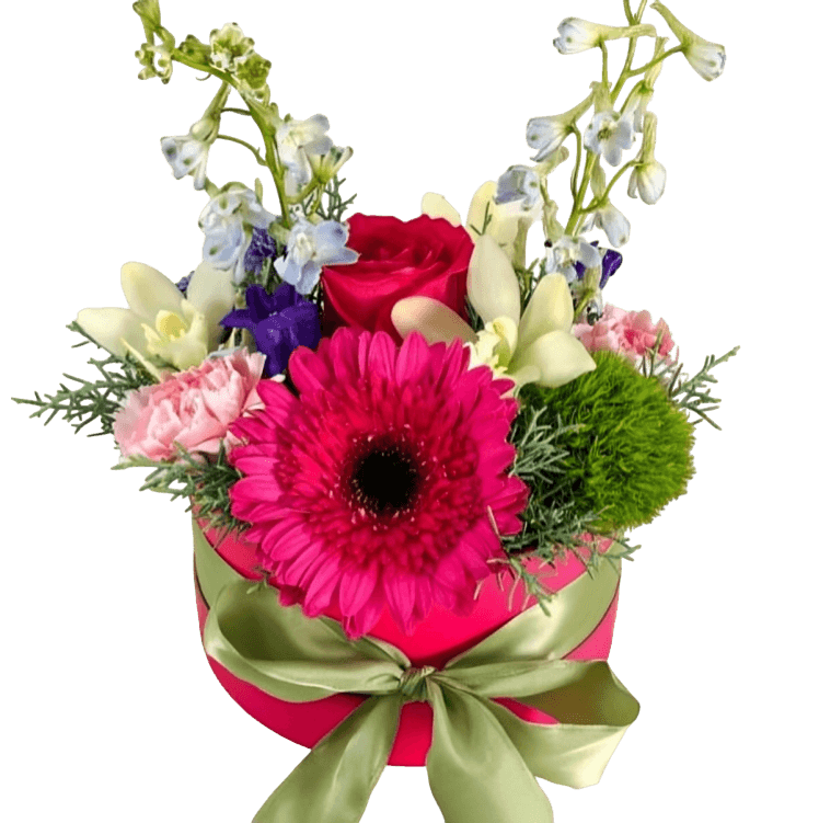 Signature Collection Pink Fuchsia Gardens