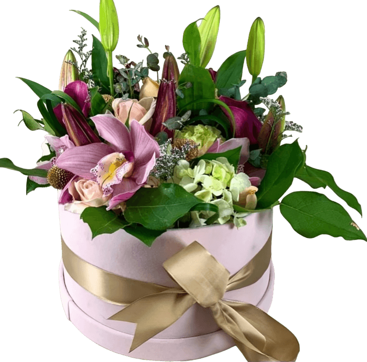 Signature Collection Princess