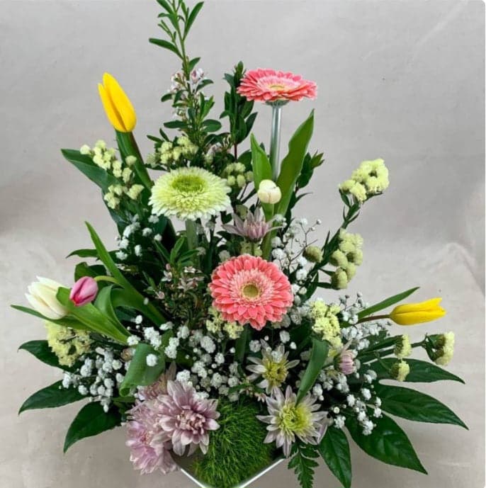Softness of Spring