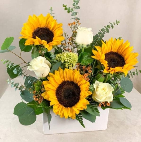 Sunflower Love