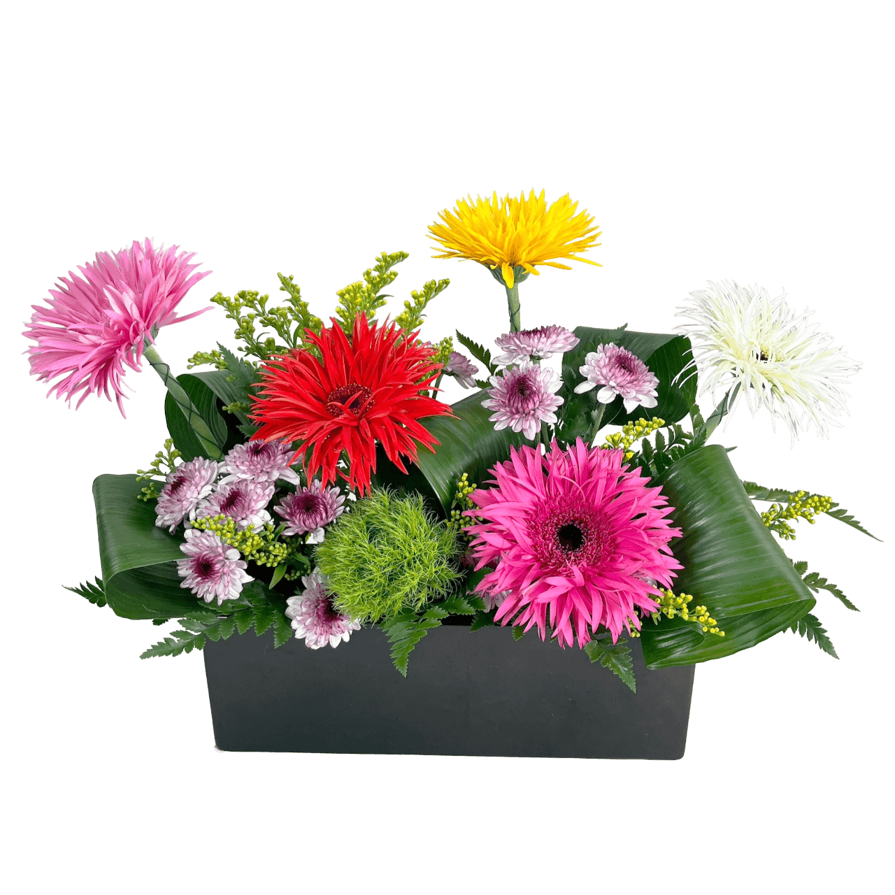 Gerb Garden