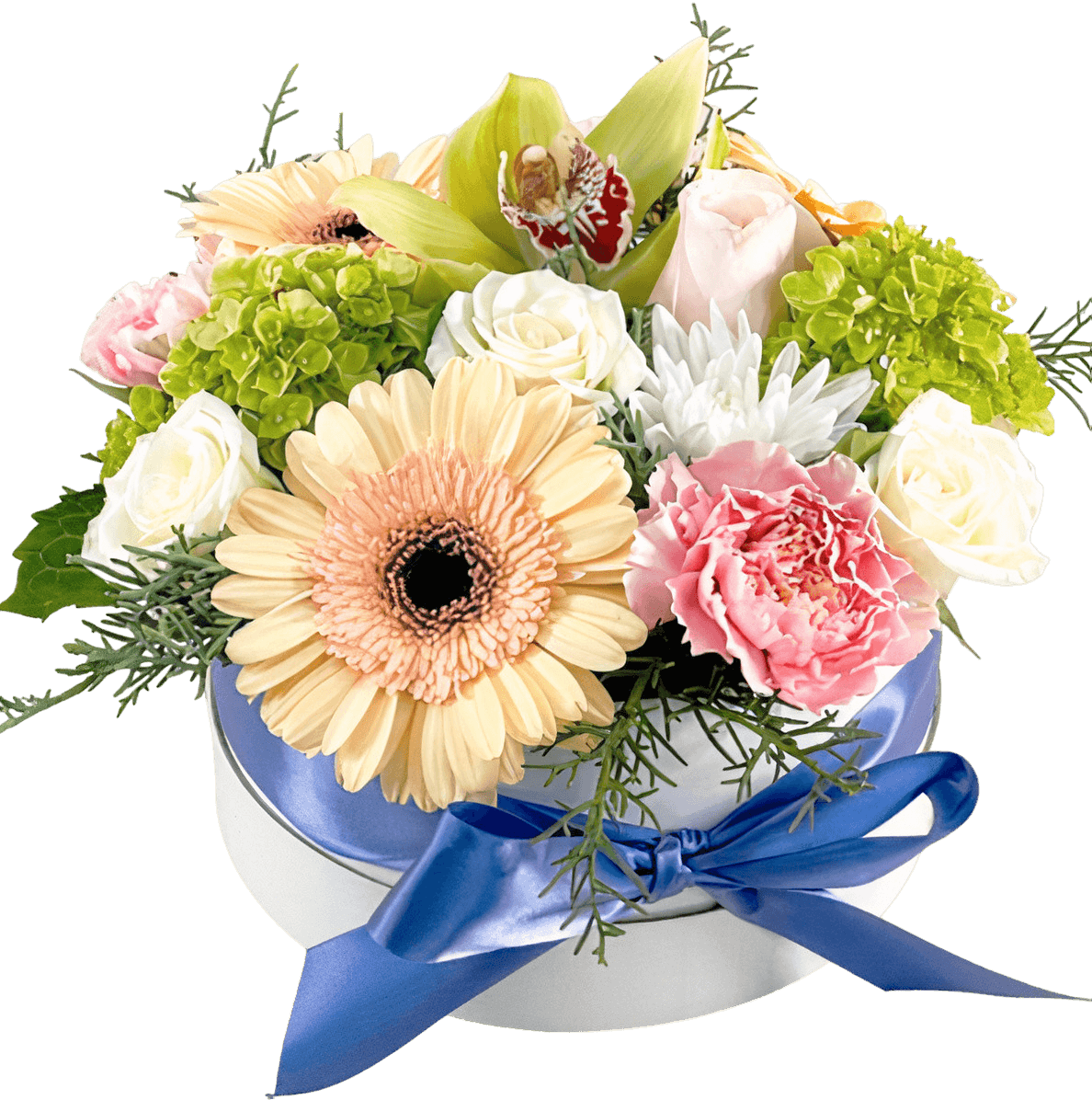 Signature Collection "Edmonton Pastel Garden''