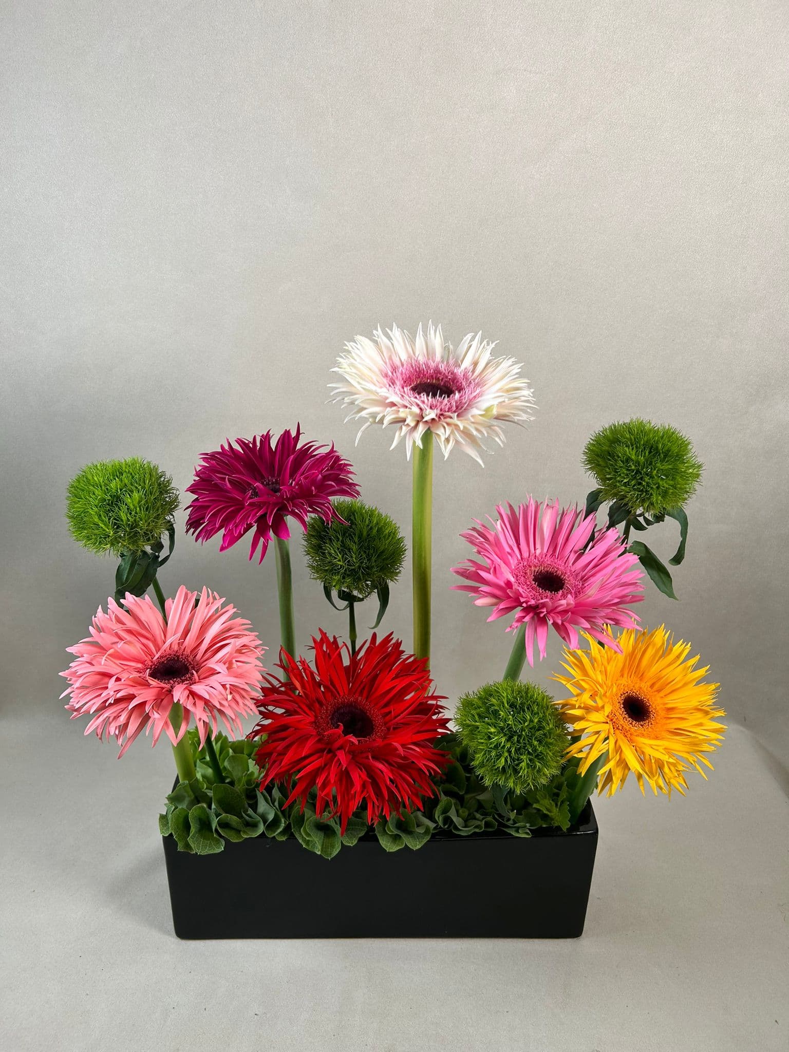 This Month Special : Fluffy Spiders