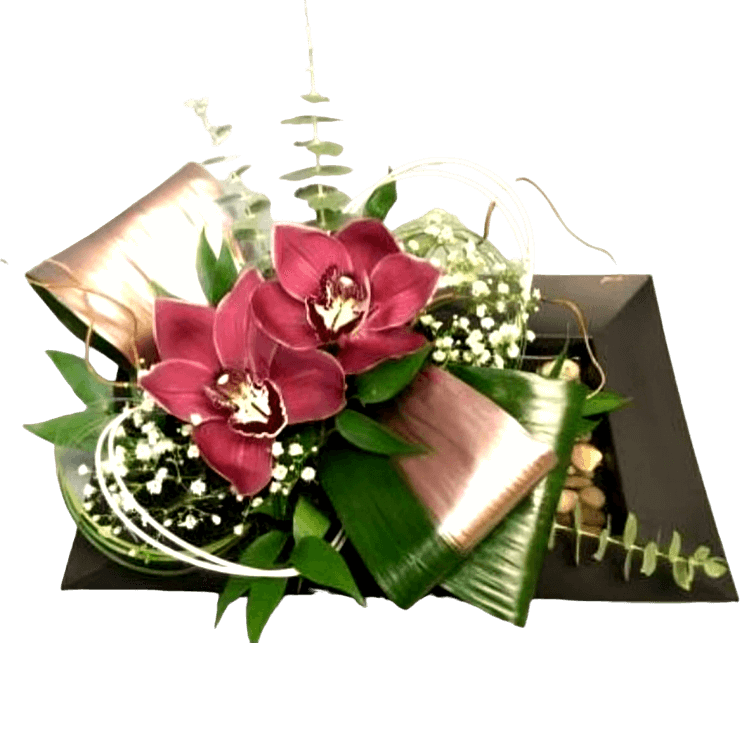Blushing Orchids