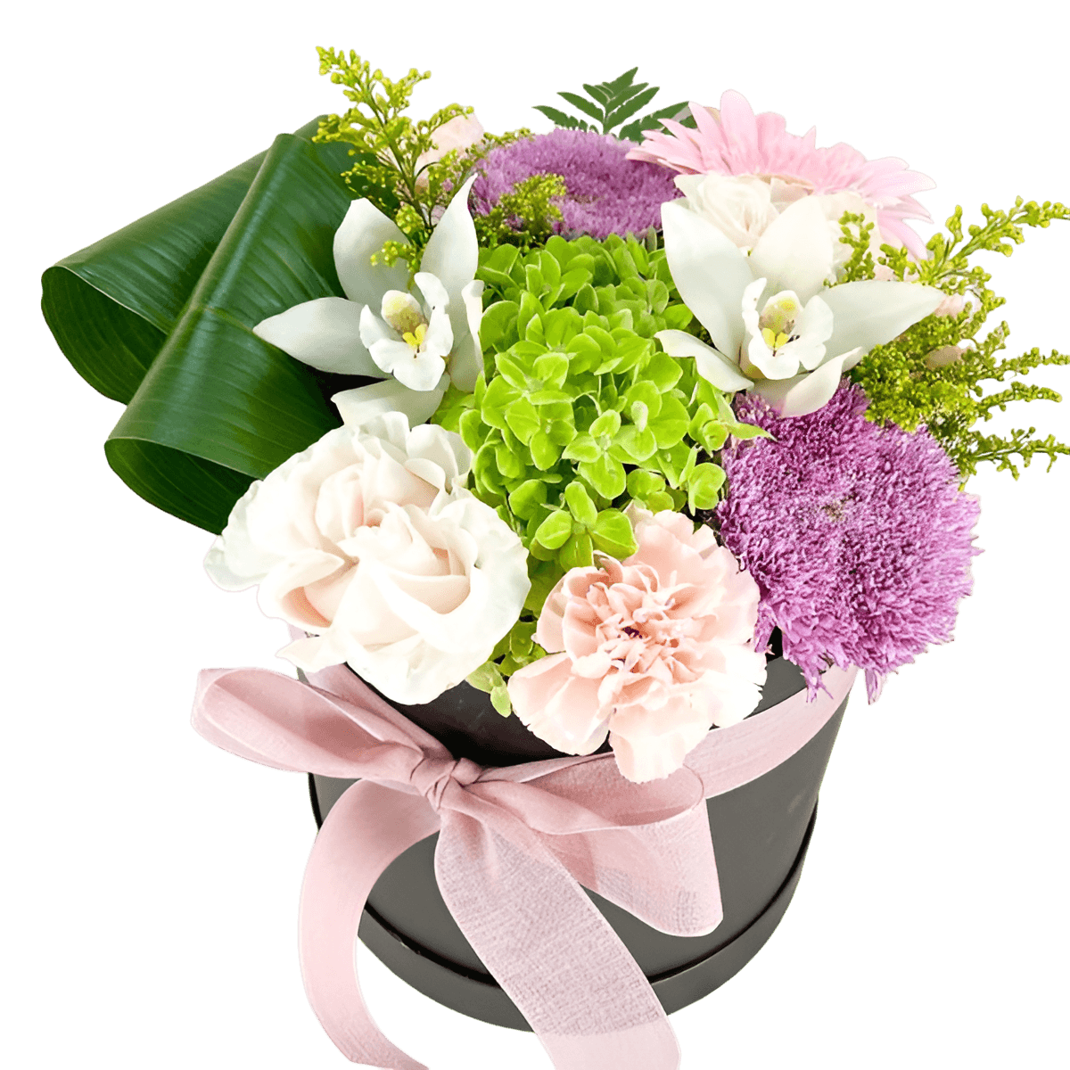 Signature Collection "Alberta Lush Garden''