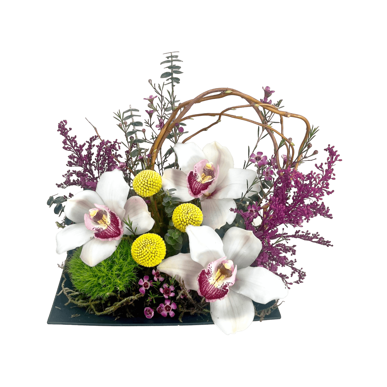 Beauty Orchids