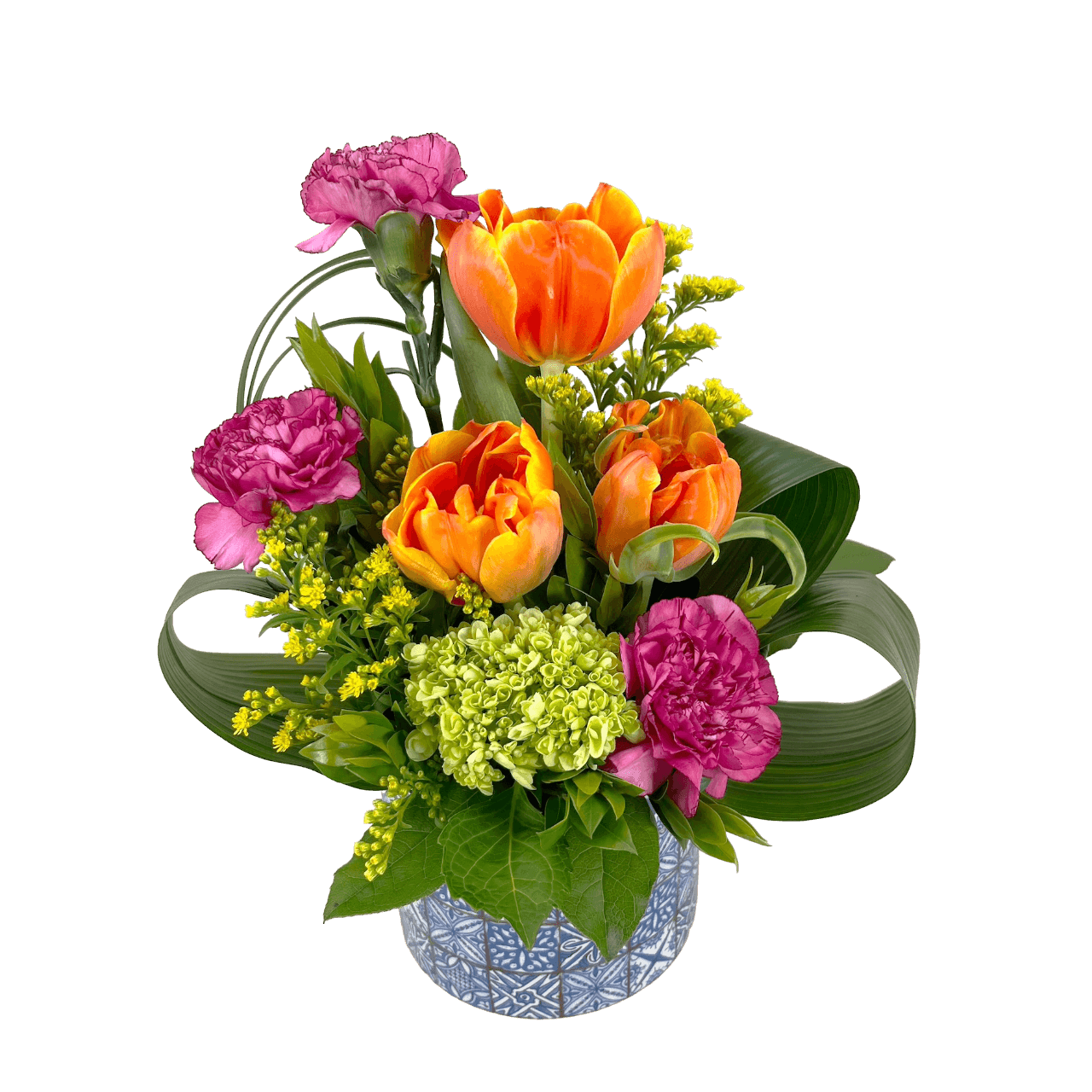 Tulips Dream