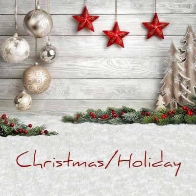 Christmas and Holiday Flowers Flower Category Image