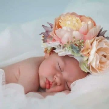 Baby Flowers Flower Category Image
