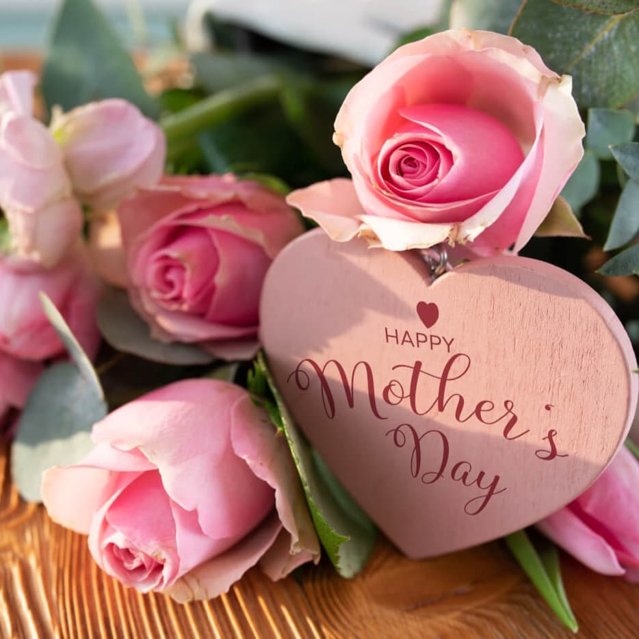 Mother's Day Flowers Flower Category Image