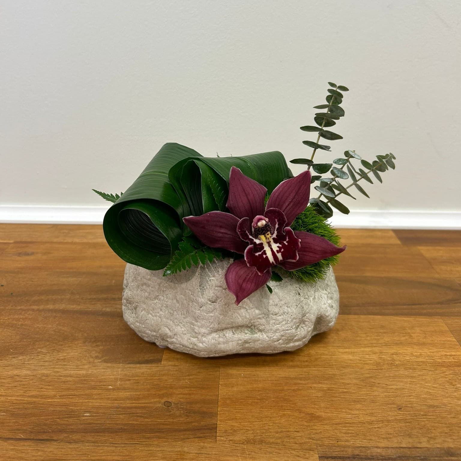 Orchid Elegance
