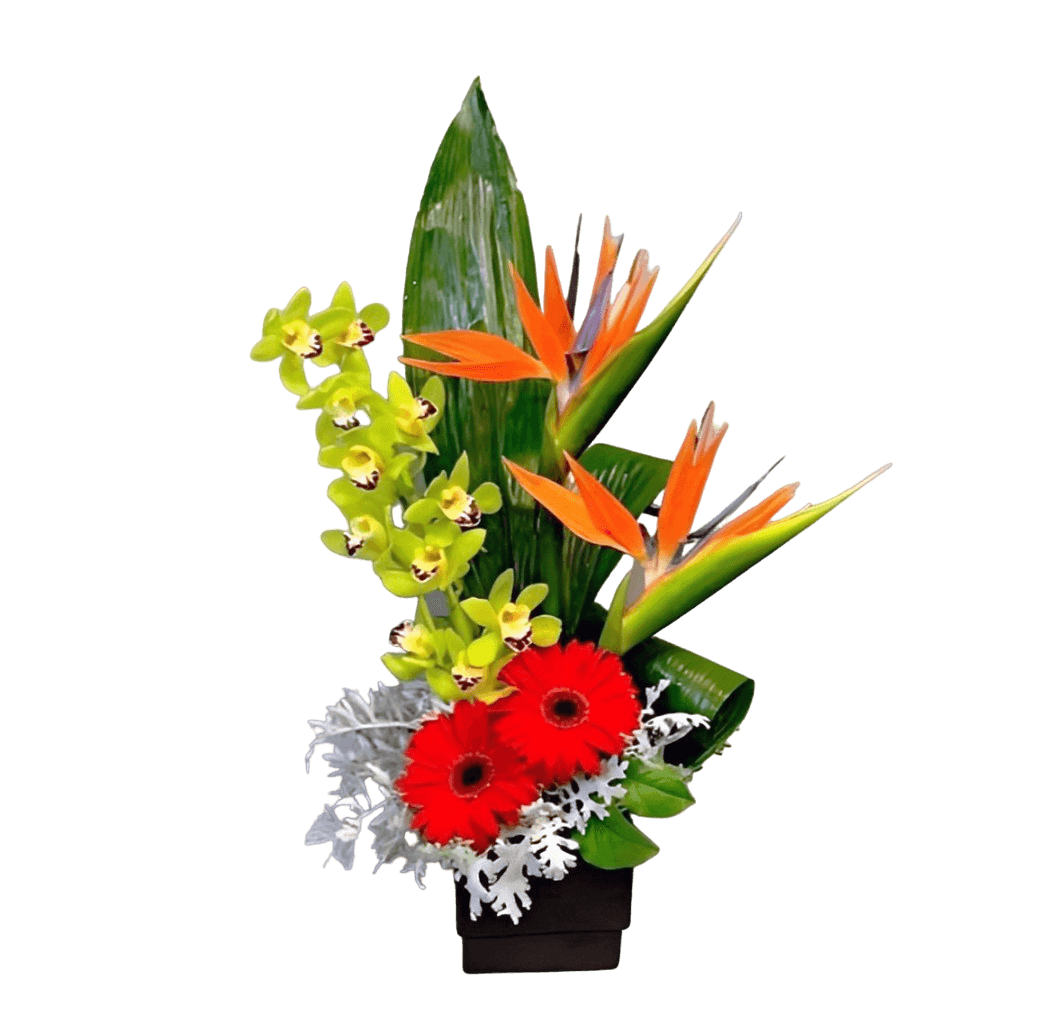Bermuda Flowers