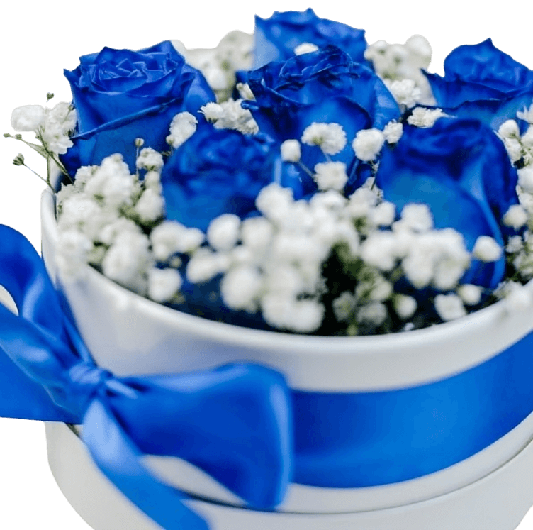  True Blue Hearts