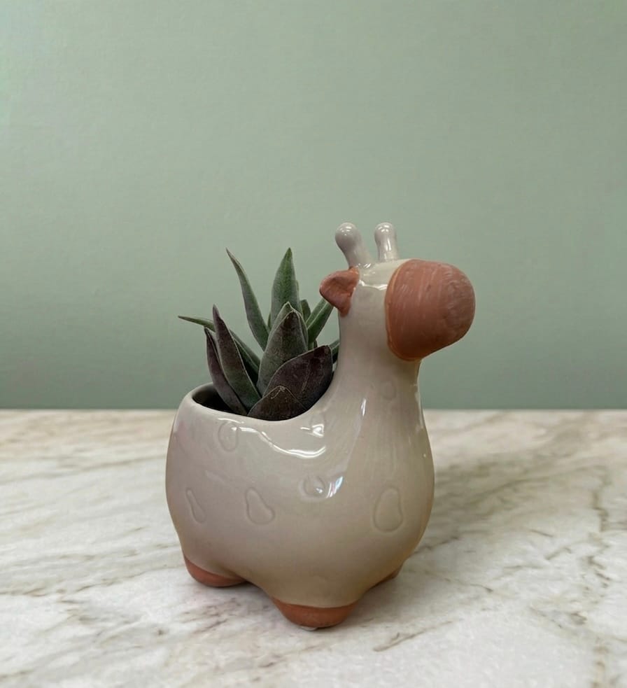 Giraffe Succulent Planter